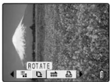 ROTATE