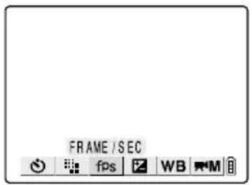FRAME / SEC fps WB M