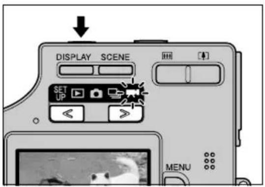 DISPLAY SCENE SET UP MENU