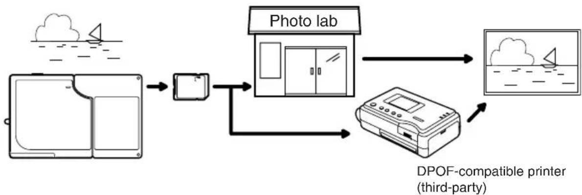 graph TD A["Image processing"] --> B["Photo lab"] B --> C["DPOF-compatible printer (third-party)"] C --> D["Photolibration unit"] D --> E["Water bath"] style A fill:#f9f,stroke:#333 style E fill:#bbf,stroke:#333