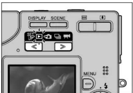 DISPLAY SCENE MENU