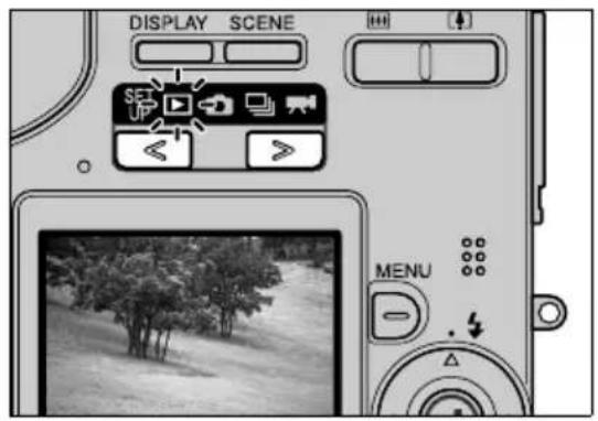 DISPLAY SCENE MENU