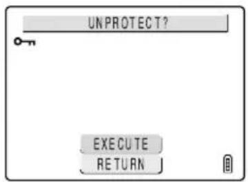 UNPROTECT? EXECUTE RETURN