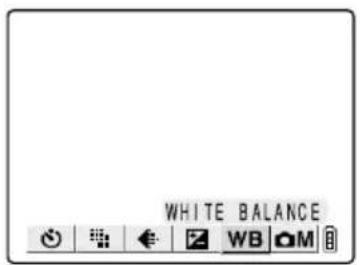 WHITE BALANCE WB