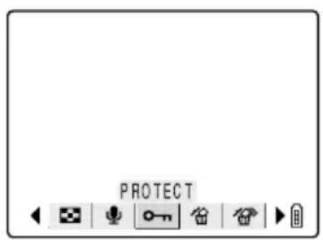 PROTECT