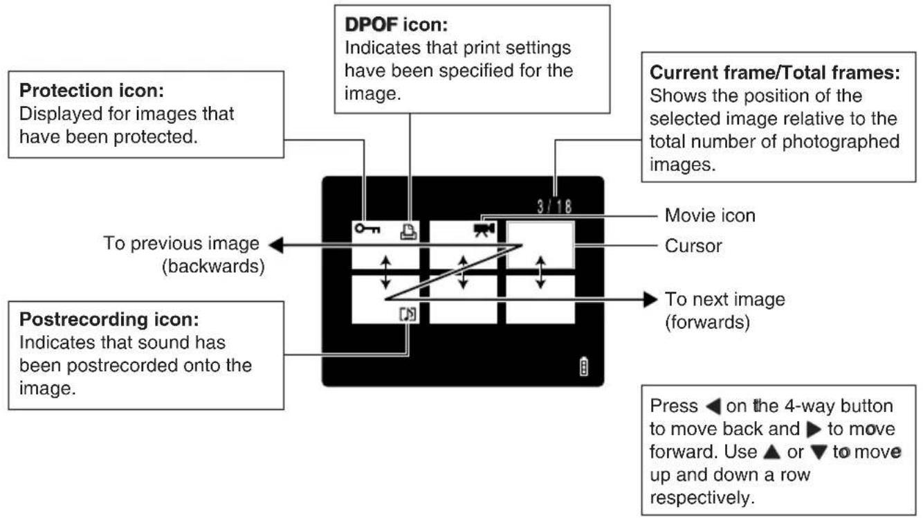 DPOF icon: Indicates that print settings have been specified for the image. Protection icon: Displayed for images that have been protected. Postrecording icon: Indicates that sound has been postrecorded onto the image. Current frame/Total frames: Shows the position of the selected image relative to…