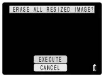 ERASE ALL RESIZED IMAGE? EXECUTE CANCEL