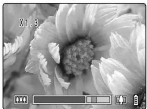 Black-and-white close-up of a flower with visible petals and center, no text or symbols present.