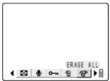 ERASE ALL