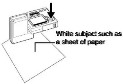 White subject such as a sheet of paper