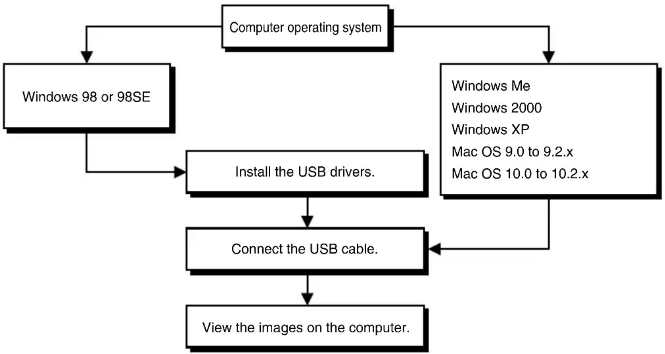 graph TD A["Computer operating system"] --> B["Windows 98 or 98SE"] A --> C["Windows Me\nWindows 2000\nWindows XP\nMac OS 9.0 to 9.2.x\nMac OS 10.0 to 10.2.x"] B --> D["Install the USB drivers."] C --> E["Connect the USB cable."] D --> E E --> F["View the images on the computer."]