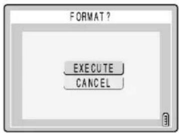 FORMAT ? EXECUTE CANCEL