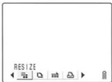 RESIZE