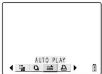 AUTO PLAY