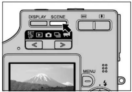 Display scene set up menu.