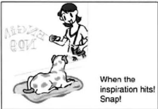 AID ZE EOM When the inspiration hits! Snap!