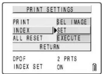 PRINT SETTINGS PRINT SEL IMAGE INDEX SET ALL RESET EXECUTE RETURN DPOF 2 PRTS INDEX SET ON