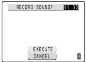 RECORD SOUND? 0:30 EXECUTE CANCEL