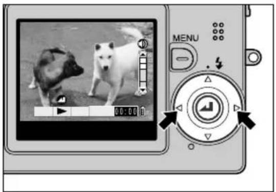 Digital camera interface showing a video player with two dogs and playback controls (no readable text or symbols)