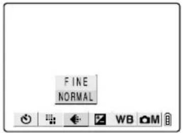 FINE NORMAL