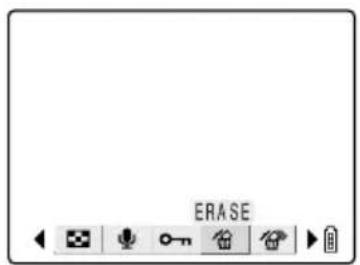 ERASE