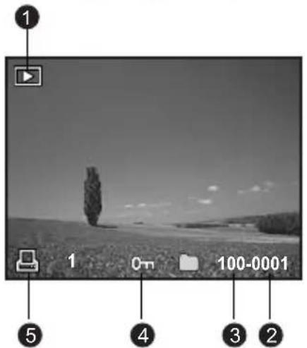 HITACHI HDC-886E - Playback mode [▶] - Video playback - 2