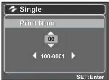 HITACHI HDC-886E - Printing images - 3