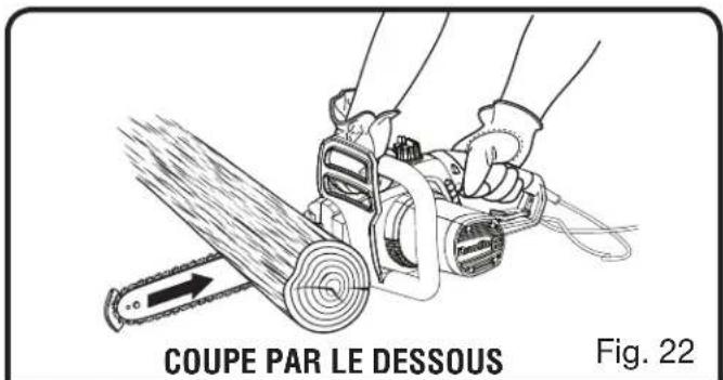 Coupe par le dessous. Fig. 22