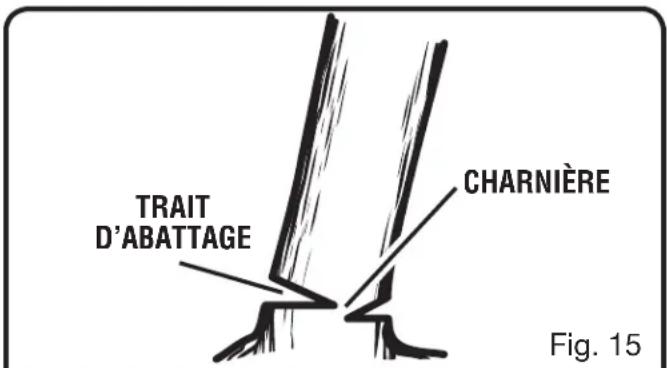 Trait d'abattage, charnière. Fig. 15