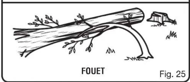 HOMELITE UT43122 - AVERTISSEMENT : - 4