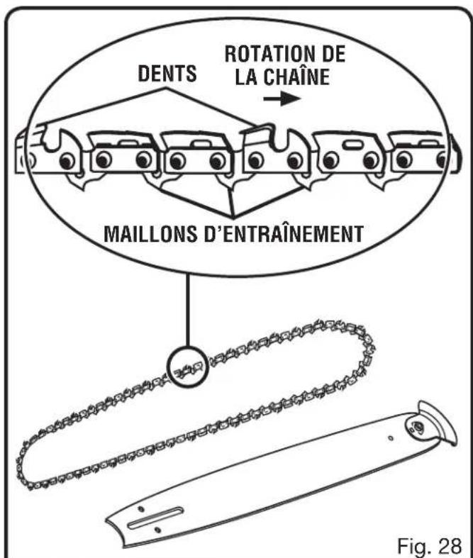 Dents, rotation de la chaîne, maillons d'entraînement. Fig. 28