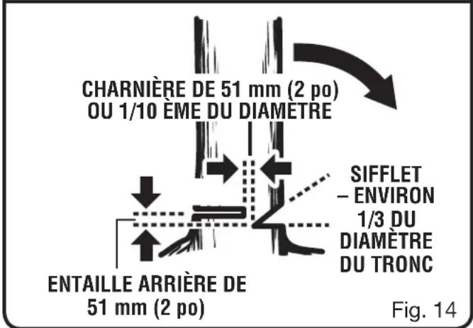 Charnière de 51 mm (2 po) ou 1/10ème du diamètre, entaille arrière de 51 mm (2 po), sifflet, environ 1/3 du diamètre du tronc. Fig. 14