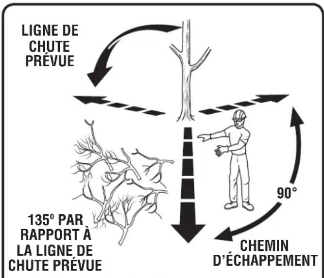 graph TD A["LIGNE DE CHUTE PRÉVUE"] --> B["Tree with Branch"] B --> C["135° PAR RAPPORT À LA LIGNE DE CHUTE PRÉVUE"] C --> D["CHEMIN D'ÉCHAPPEMENT"] D --> E["90°"] E --> F["Branch with Plant"]