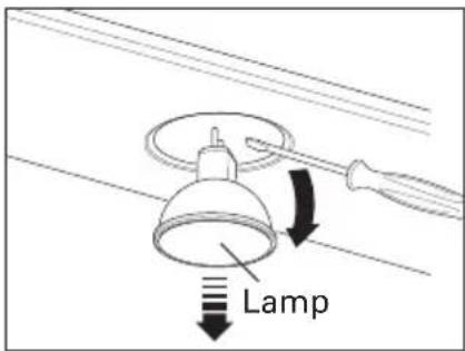 Lampada