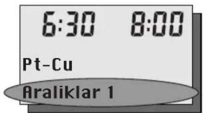 6:30 8:00 Pt-Cu Araliklar 1