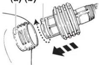 (a) (b)