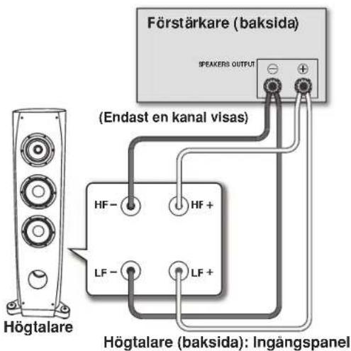 Förstärkare (baksida) SPEAKERS OUTPUT (Endast en kanal visas) HF- HF+ LF- LF+ Högtalare Högtalare (baksida): Ingångspanel