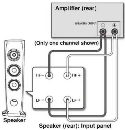 Amplifier (rear) SPEAKERS OUTPUT (Only one channel shown) Speaker HF- HF+ LF- LF+ Speaker (rear): Input panel