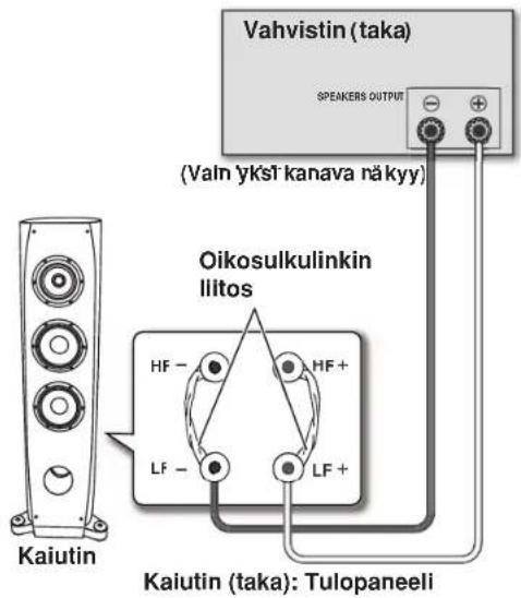 Vahvistin (taka) SPEAKERS OUTPUT (Valn yksī kanava nä kyy) Oikosulkulinkin Iliitos Kaiutin (taka): Tulopaneeli