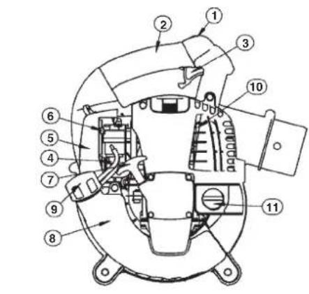 MAKITA BHX2501X - Nur für europäische Länder - 1