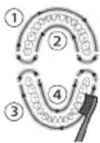 graph TD A["Step 1"] --> B["Step 2"] B --> C["Step 3"] C --> D["Step 4"] D --> E["End"]