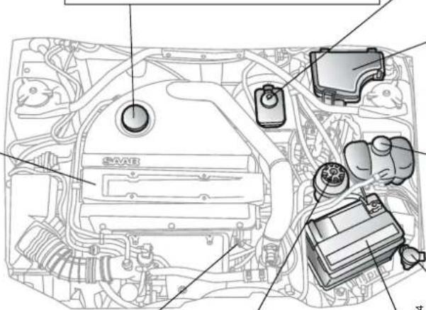 Technical diagram of a car engine bay with labeled components in Chinese