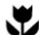 WESTINGHOUSE WDG103WB - IMPORTANT - 1