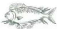Infiniton CL-189XY - Fish and seafood - 1