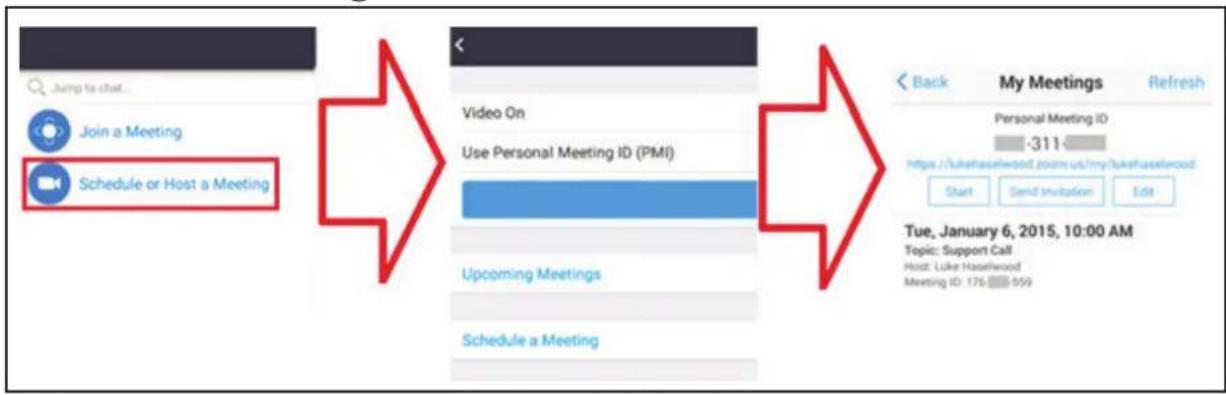 graph LR A["Join a Meeting"] --> B["Schedule or Host a Meeting"] B --> C["Video On"] C --> D["Use Personal Meeting ID (PMI)"] D --> E["Upcoming Meetings"] E --> F["Schedule a Meeting"] G["Back"] --> H["My Meetings Refresh"] H --> I["Personal Meeting ID: -311"] I --> J["https://lakehaselwood.zoom.us/…