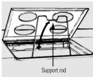 Support rod