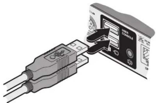 Diagram showing USB connection to a User Console with labeled ports and signal icons