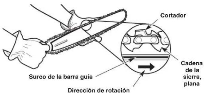 Cortador Surco de la barra guía Dirección de rotación Cadena de la sierra, plana