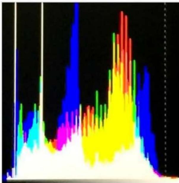 DataVideo TLM-170KM - RGB - 1