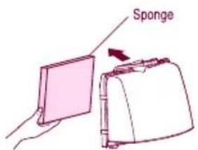 Sponge